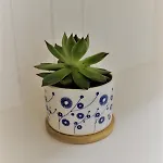 Διαμέρισμα La Maiolica