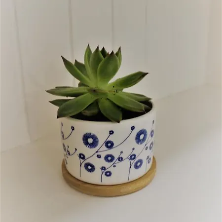 Apartment La Maiolica