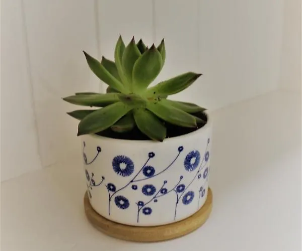 Апартаменты La Maiolica